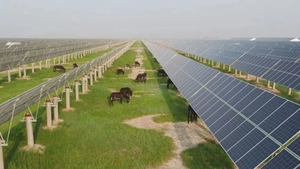 Agricultural photovoltaic integration project